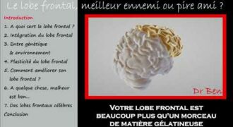 Le lobe frontal, meilleur ennemi ou pire ami